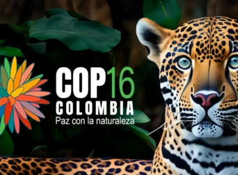 COP16 Colombia