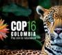 COP16 Colombia