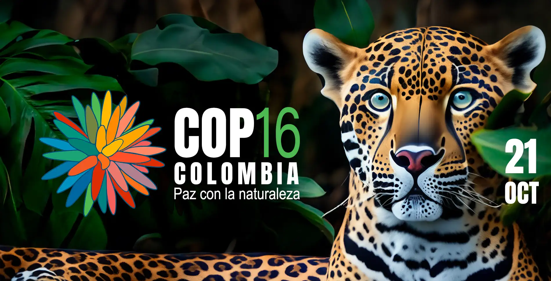 COP16 Colombia